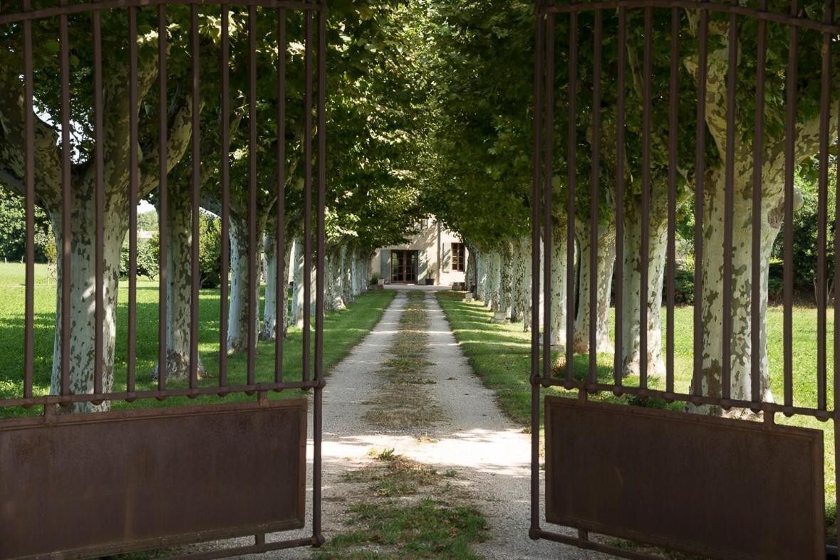 Le Mas Saint Jacques Le Pontet  Esterno foto